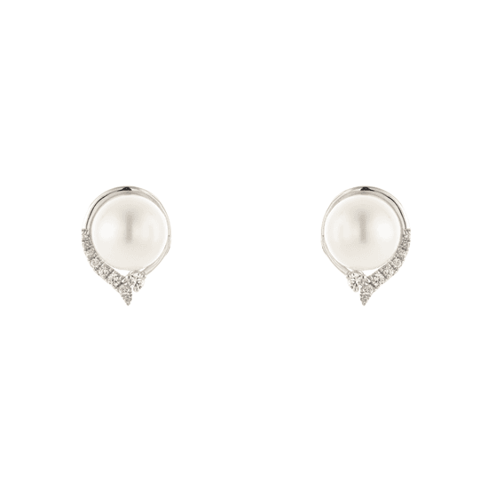 925 Silver Earrings