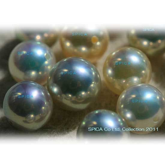 Akoya Loose Pearl