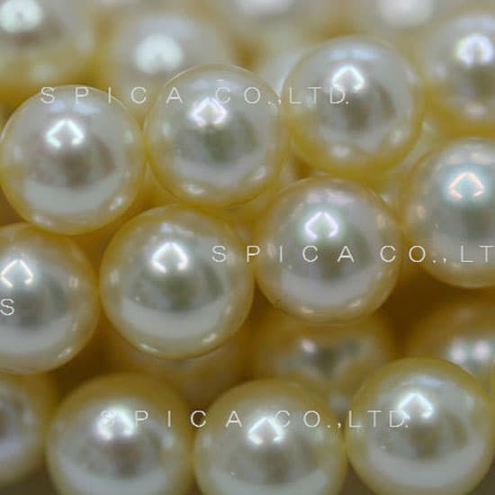 Akoya Pearl