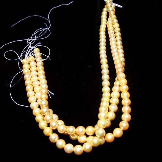 Akoya Pearls
