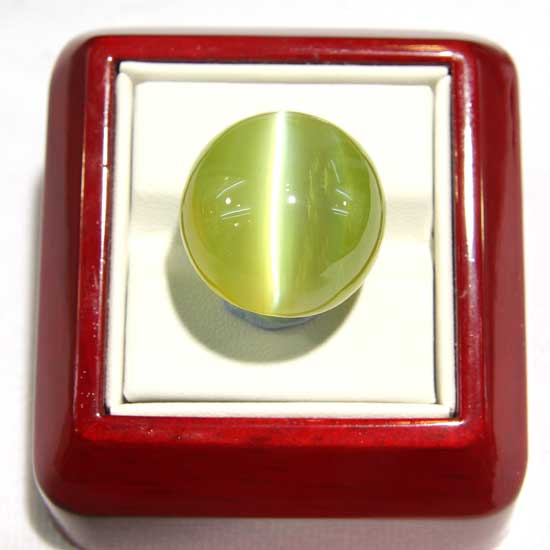 Cat's Eye