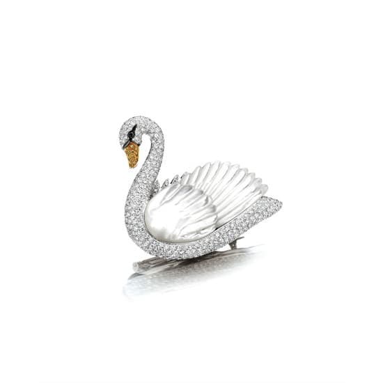 Cigno