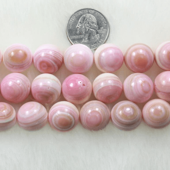 Conch Beads