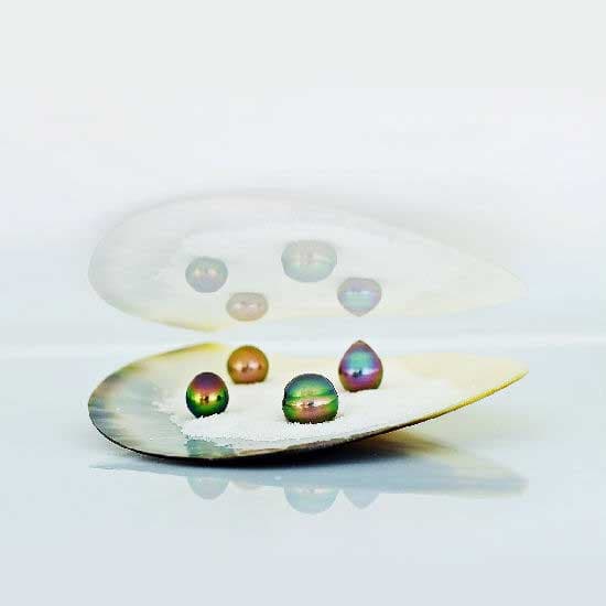 Cultured Pearl