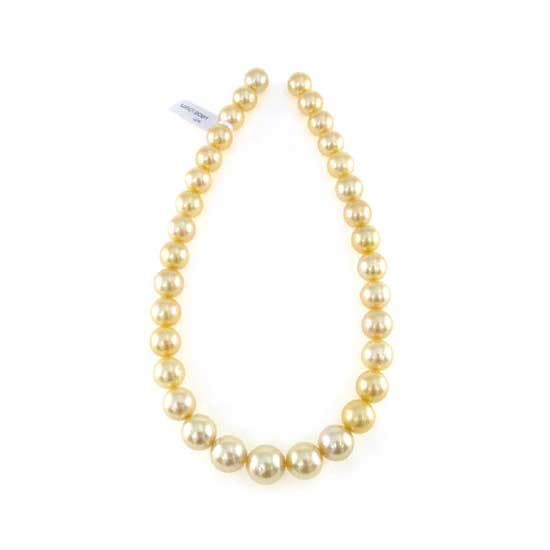 Golden South Sea Pearl