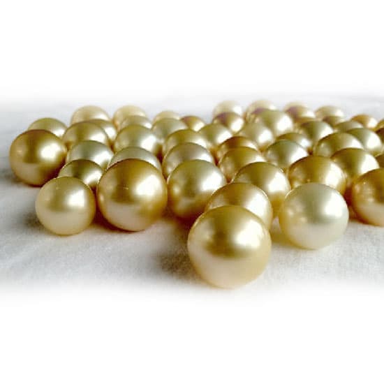 Golden South Sea Pearl