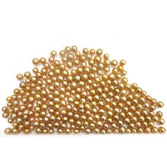 Golden South Sea Pearl