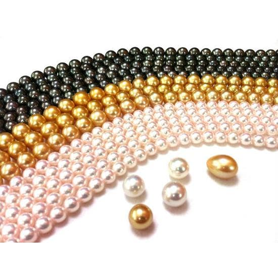 Golden South Sea Pearls