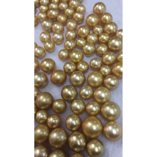 Golden South Sea Pearls