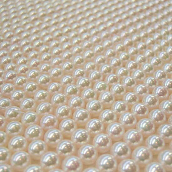 Japanese Akoya Pearl