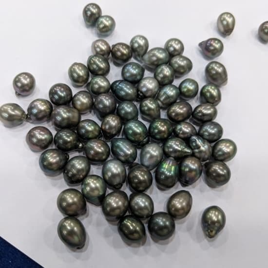 Loose Black Pearl