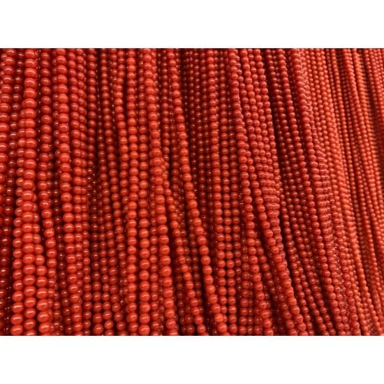 Mediterranean Red Coral