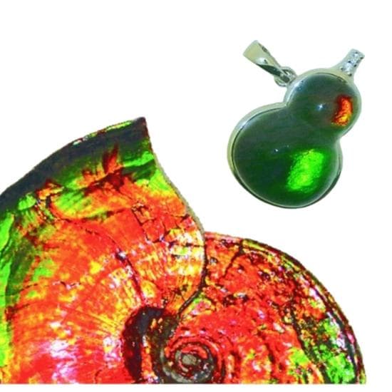New Material - Ammolite