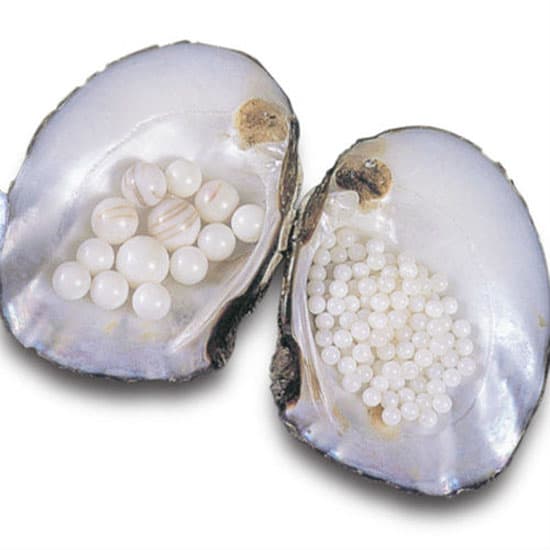 Pearl Nucleus