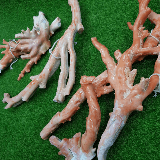 Pink coral Material