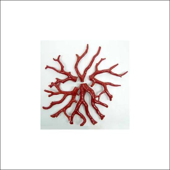 Polished Coral Branches