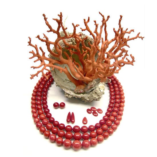 Red Coral