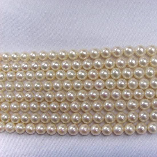 South Sea Pearl