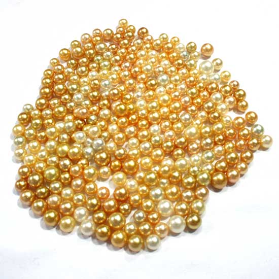 South Sea Pearl