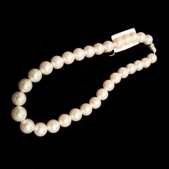 South Sea Pearl