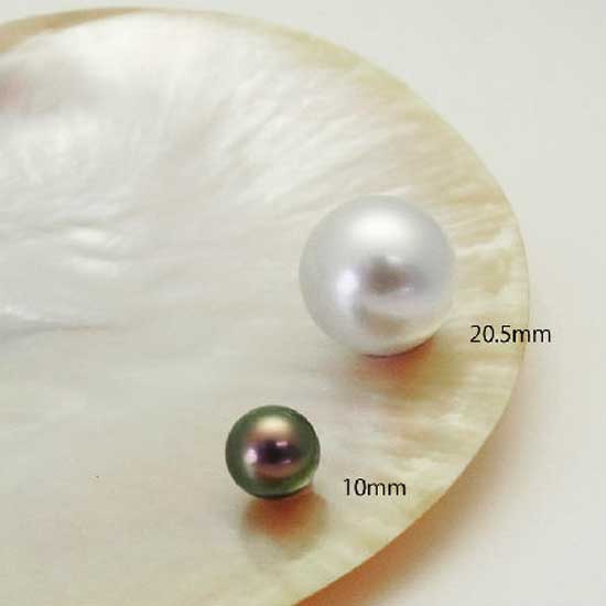 South Sea Pearl