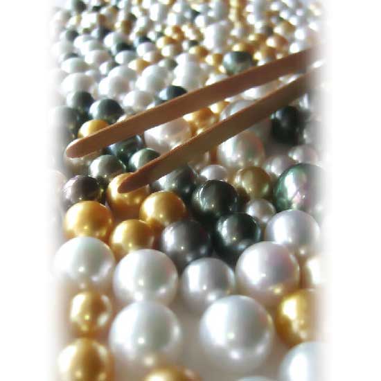 South Sea Pearl
