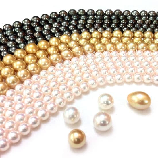 South Sea Pearl