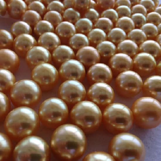 South Sea Pearl