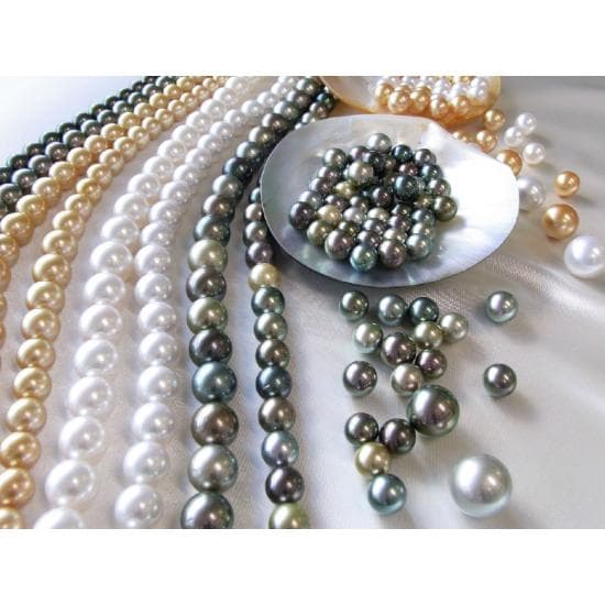 South Sea Pearl 