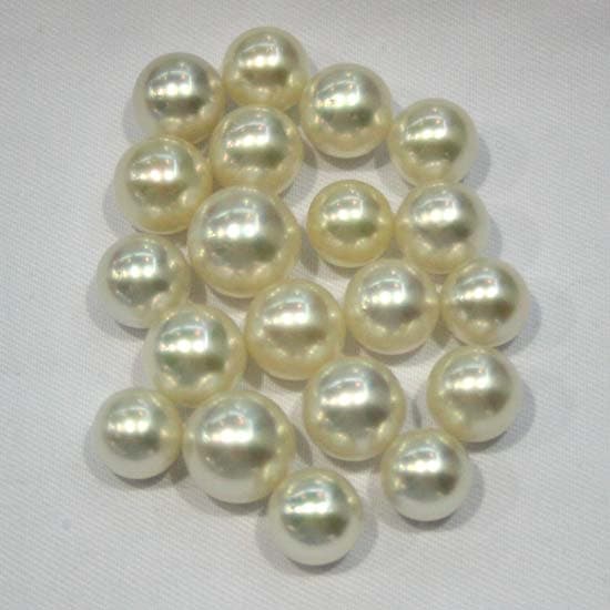 South Sea Pearls