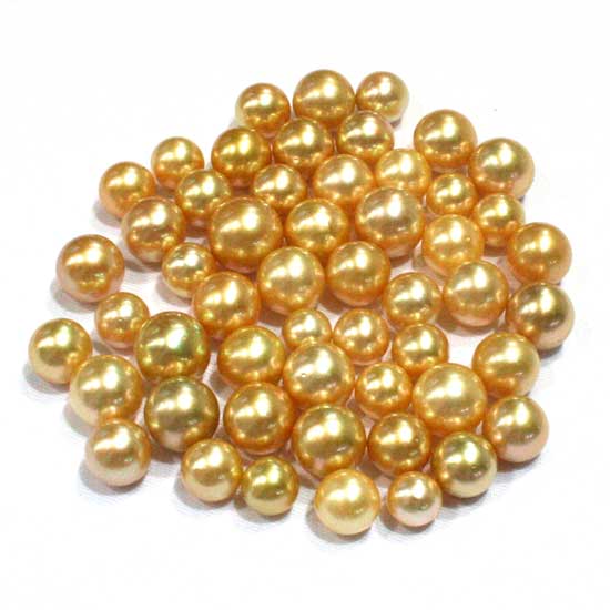 South Sea Pearls