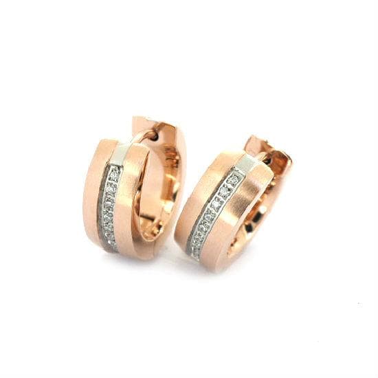 Stainless Steel Earring