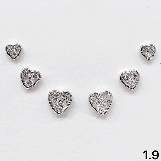 Sterling Silver Earrings