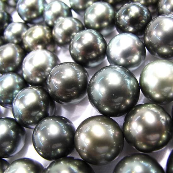 Tahiti Pearls