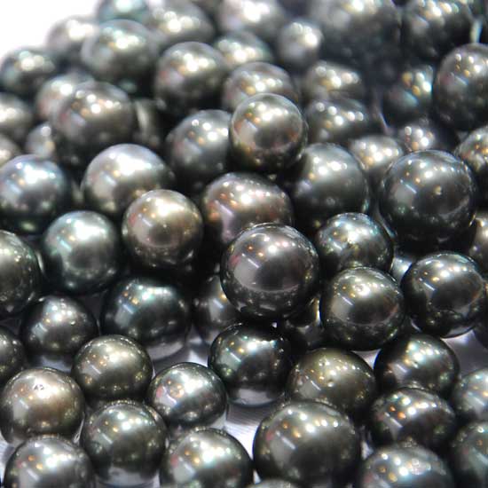 Tahiti Pearls
