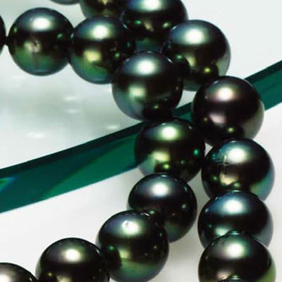 Tahitian Black Pearl