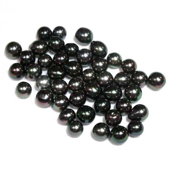 Tahitian Black Pearls
