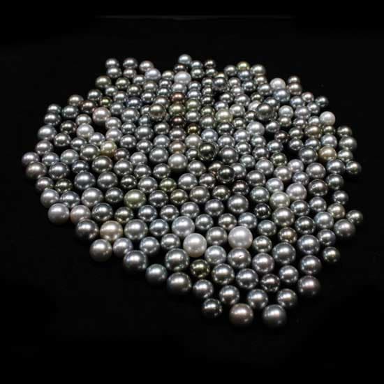 Tahitian Pearl