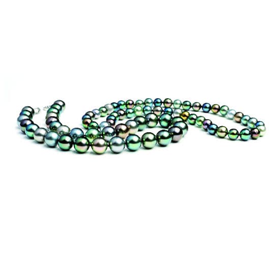 Tahitian Pearl