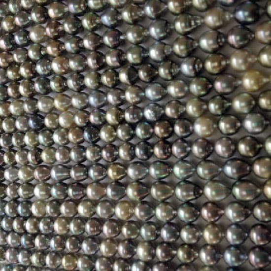 Tahitian South Sea Pearl
