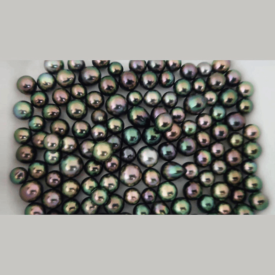 Tahitian pearls