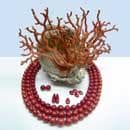 Borriello Massimo logo