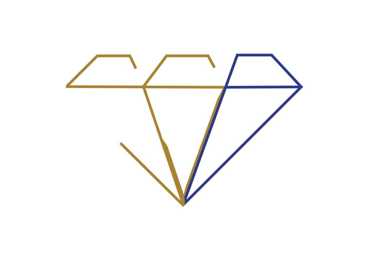 S.S. Bros. Limited logo