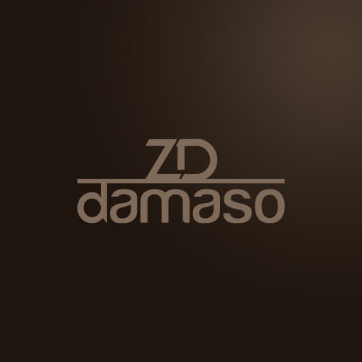 ZAHIRDAMASO INTERNATIONAL CORPORATION logo