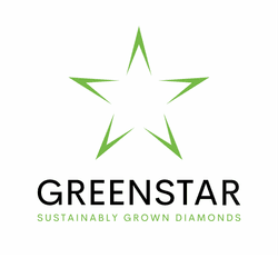 AVP STAR PRIVATE LIMITED logo