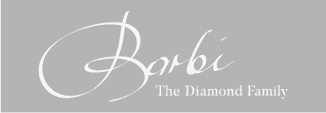 S.E Barbi logo
